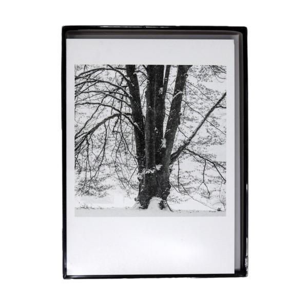 Beech Grove Note Cards